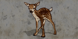 Flag BabyDeer